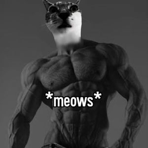 Meet your Posher, Katelyn